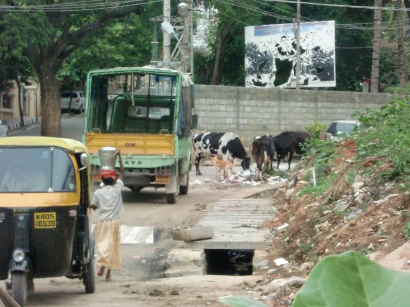 India Trip - July 2010 223.jpg